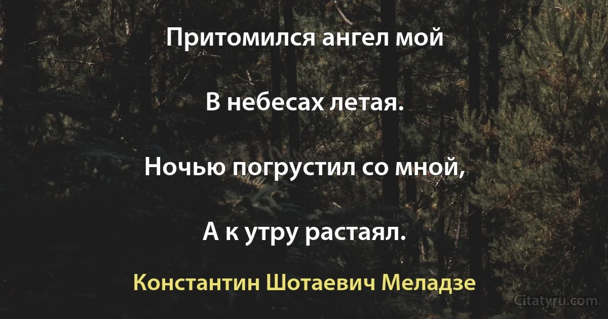 Притомился ангел мой

В небесах летая.

Ночью погрустил со мной,

А к утру растаял. (Константин Шотаевич Меладзе)