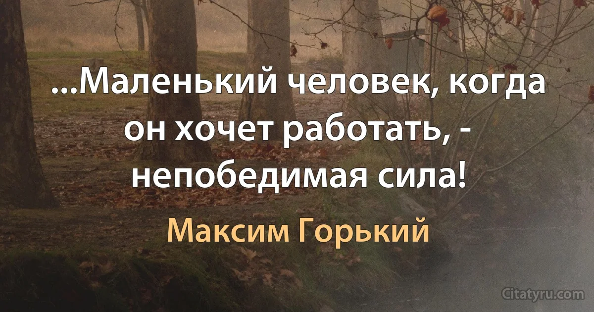 ...Маленький человек, когда он хочет работать, - непобедимая сила! (Максим Горький)