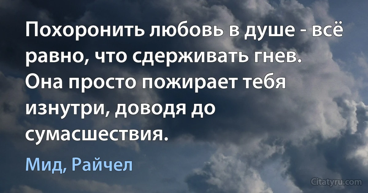 Похоронить любовь в душе - всё равно, что сдерживать гнев. Она просто пожирает тебя изнутри, доводя до сумасшествия. (Мид, Райчел)