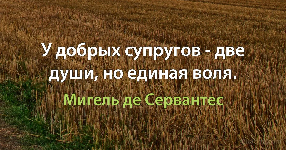 У добрых супругов - две души, но единая воля. (Мигель де Сервантес)