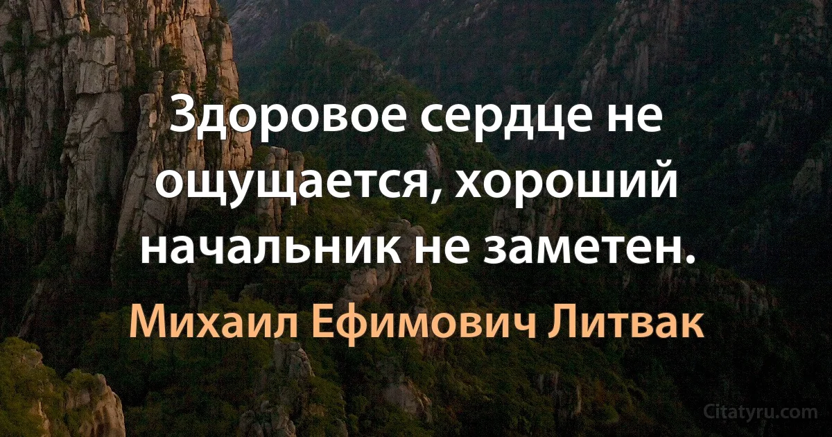 Здоровое сердце не ощущается, хороший начальник не заметен. (Михаил Ефимович Литвак)