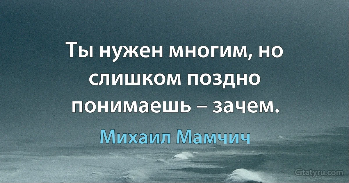 Ты нужен многим, но слишком поздно понимаешь – зачем. (Михаил Мамчич)