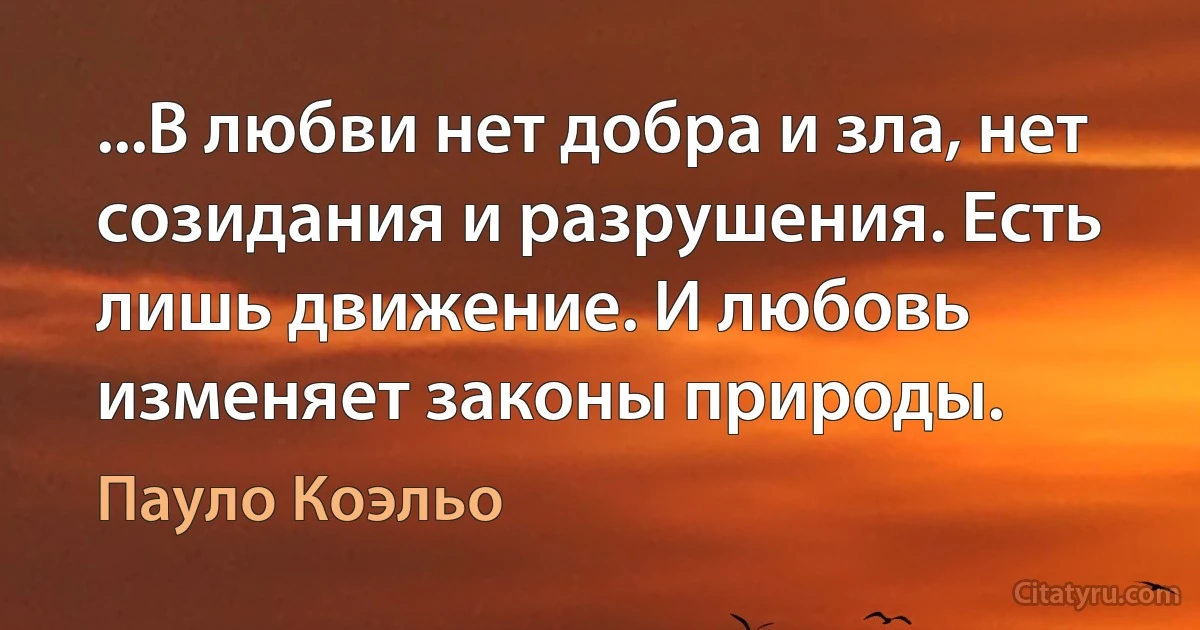 ...В любви нет добра и зла, нет созидания и разрушения. Есть лишь движение. И любовь изменяет законы природы. (Пауло Коэльо)