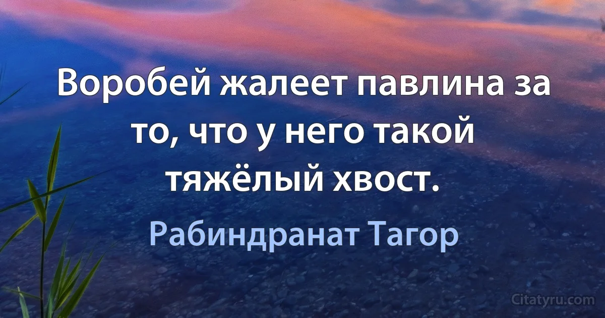 Воробей жалеет павлина за то, что у него такой тяжёлый хвост. (Рабиндранат Тагор)