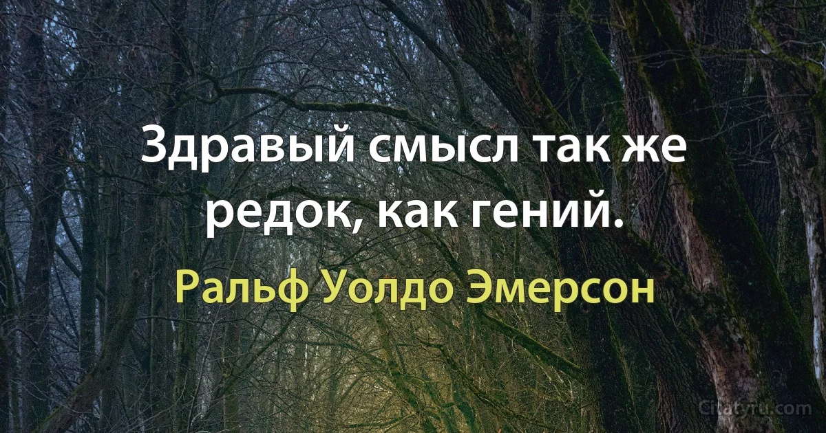 Здравый смысл так же редок, как гений. (Ральф Уолдо Эмерсон)