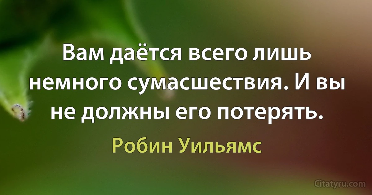 Вам даётся всего лишь немного сумасшествия. И вы не должны его потерять. (Робин Уильямс)