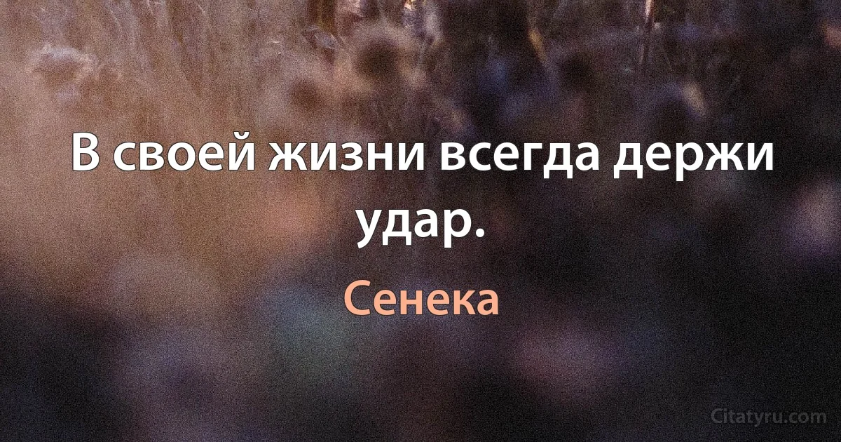 В своей жизни всегда держи удар. (Сенека)