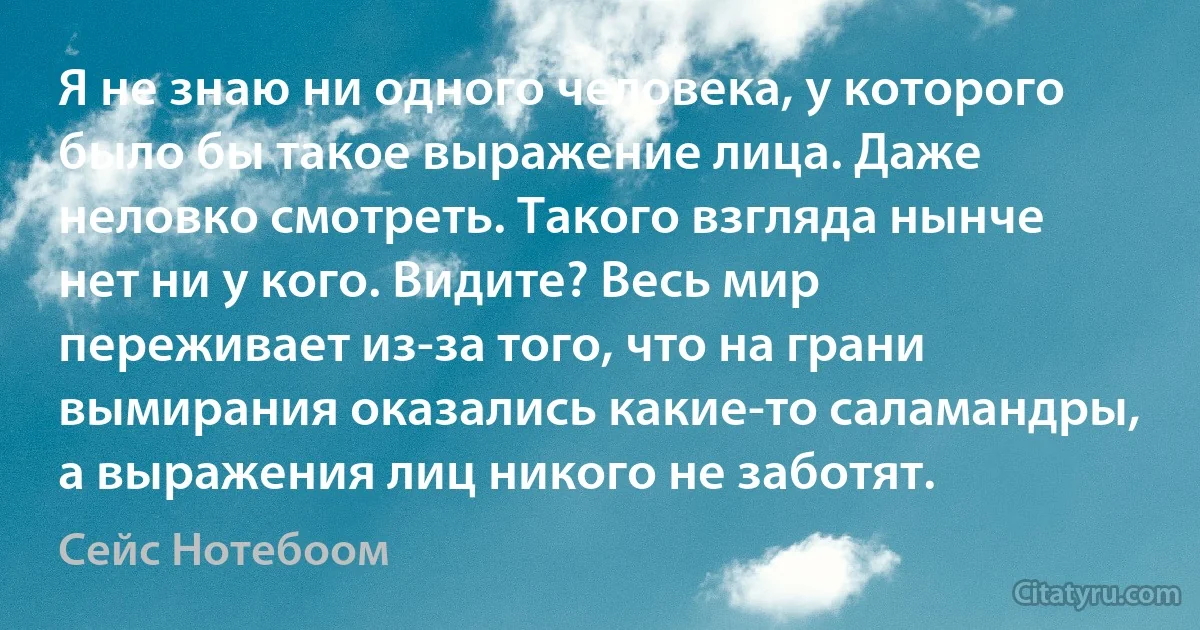 Я не знаю ни одного человека, у которого было бы такое выражение лица. Даже неловко смотреть. Такого взгляда нынче нет ни у кого. Видите? Весь мир переживает из-за того, что на грани вымирания оказались какие-то саламандры, а выражения лиц никого не заботят. (Сейс Нотебоом)