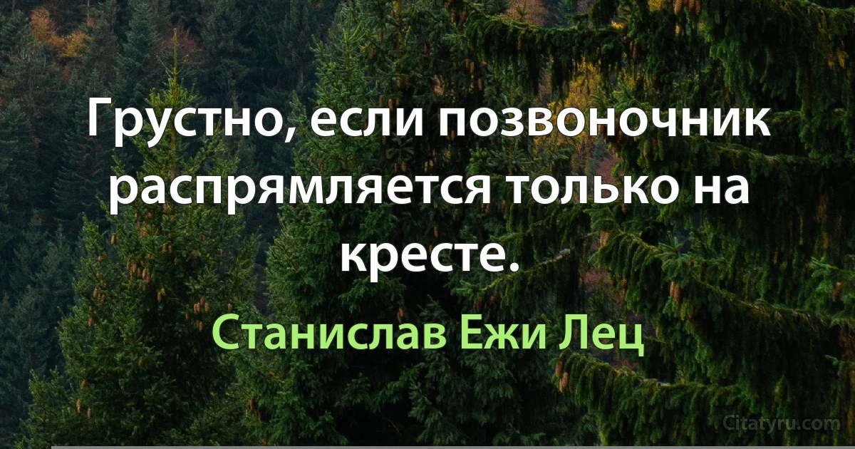 Грустно, если позвоночник распрямляется только на кресте. (Станислав Ежи Лец)