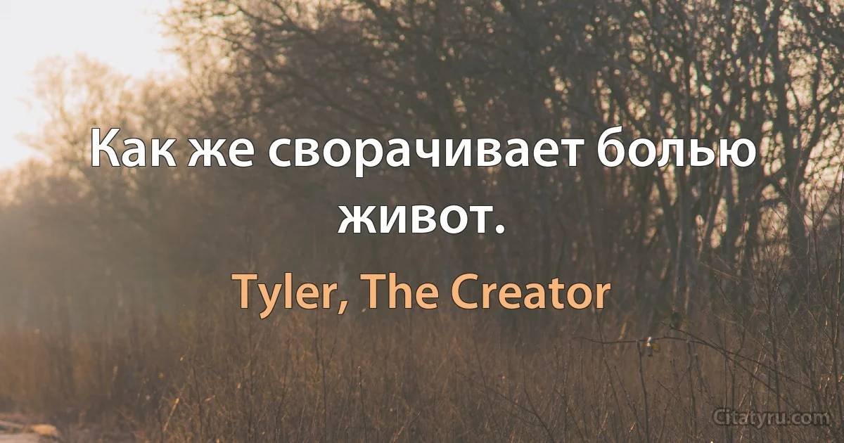 Как же сворачивает болью живот. (Tyler, The Creator)