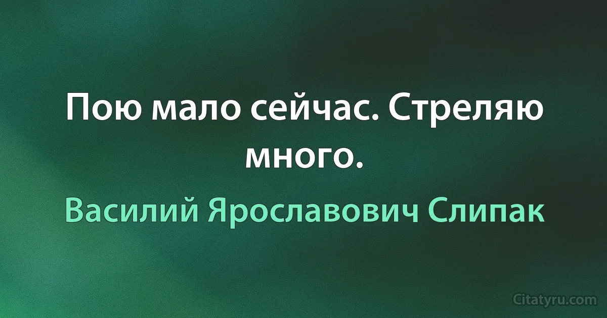 Пою мало сейчас. Стреляю много. (Василий Ярославович Слипак)