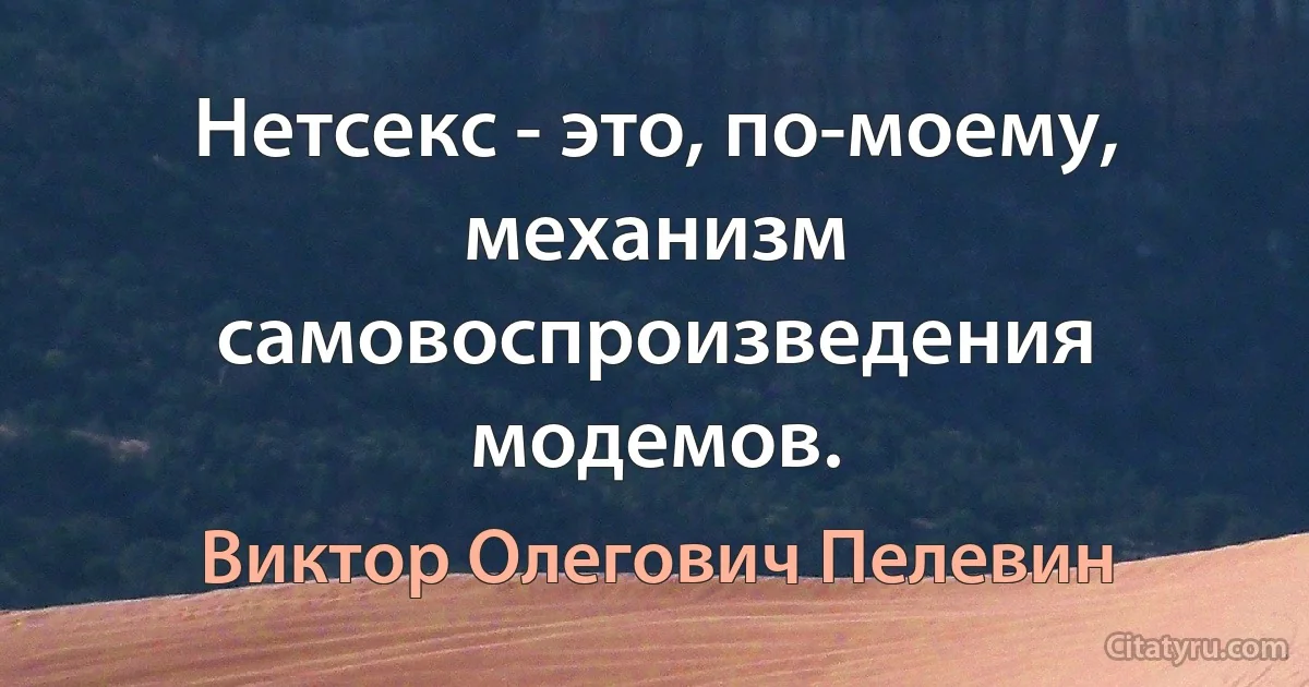 Нетсекс - это, по-моему, механизм самовоспроизведения модемов. (Виктор Олегович Пелевин)