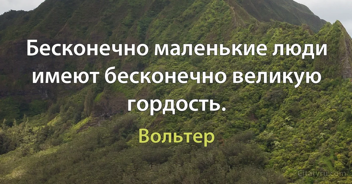 Бесконечно маленькие люди имеют бесконечно великую гордость. (Вольтер)