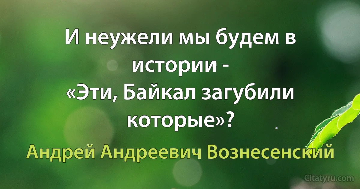 И неужели мы будем в истории -
«Эти, Байкал загубили которые»? (Андрей Андреевич Вознесенский)