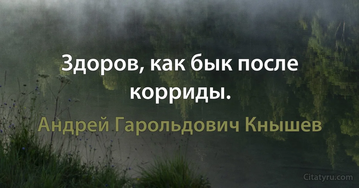 Здоров, как бык после корриды. (Андрей Гарольдович Кнышев)