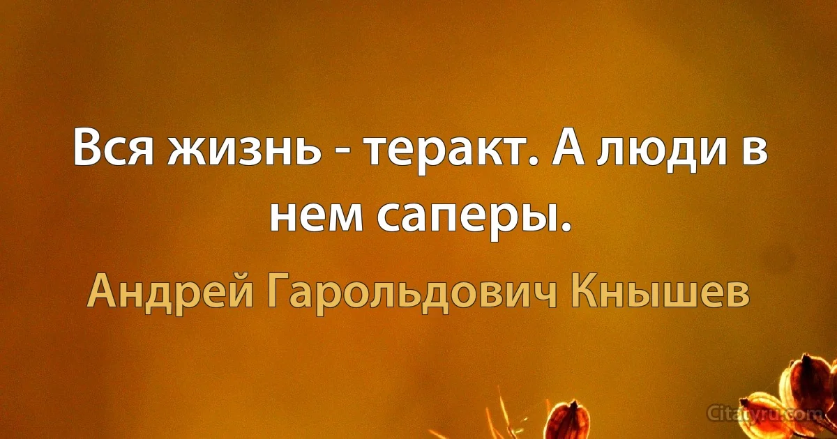 Вся жизнь - теракт. А люди в нем саперы. (Андрей Гарольдович Кнышев)