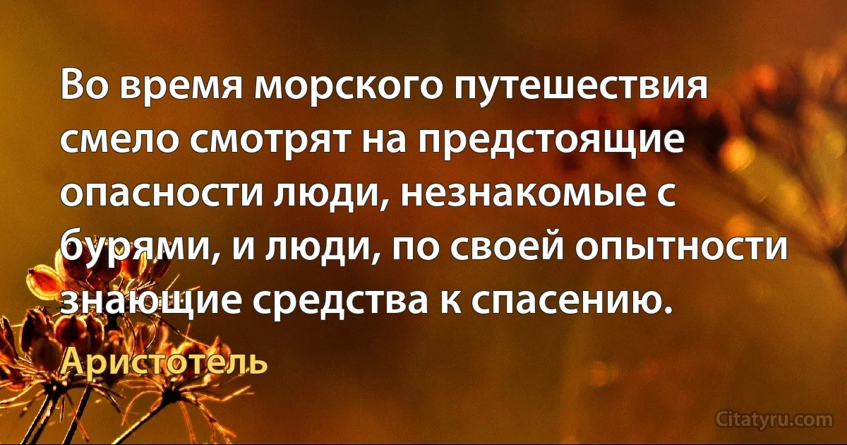 Во время морского путешествия смело смотрят на предстоящие опасности люди, незнакомые с бурями, и люди, по своей опытности знающие средства к спасению. (Аристотель)