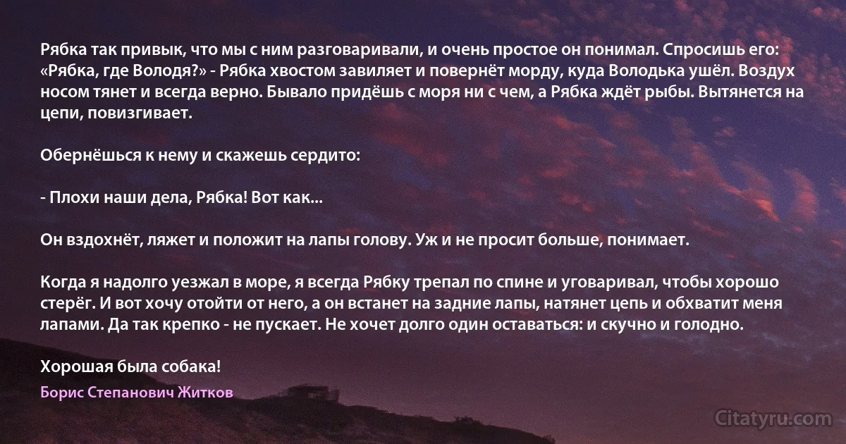 Рябка так привык, что мы с ним разговаривали, и очень простое он понимал. Спросишь его: «Рябка, где Володя?» - Рябка хвостом завиляет и повернёт морду, куда Володька ушёл. Воздух носом тянет и всегда верно. Бывало придёшь с моря ни с чем, а Рябка ждёт рыбы. Вытянется на цепи, повизгивает.

Обернёшься к нему и скажешь сердито:

- Плохи наши дела, Рябка! Вот как...

Он вздохнёт, ляжет и положит на лапы голову. Уж и не просит больше, понимает.

Когда я надолго уезжал в море, я всегда Рябку трепал по спине и уговаривал, чтобы хорошо стерёг. И вот хочу отойти от него, а он встанет на задние лапы, натянет цепь и обхватит меня лапами. Да так крепко - не пускает. Не хочет долго один оставаться: и скучно и голодно.

Хорошая была собака! (Борис Степанович Житков)