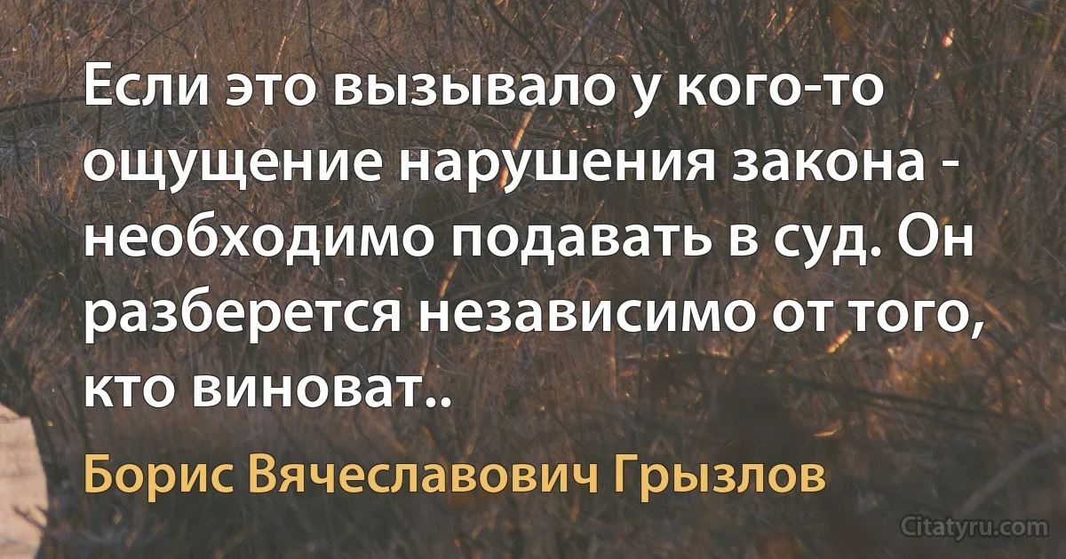 Если это вызывало у кого-то ощущение нарушения закона - необходимо подавать в суд. Он разберется независимо от того, кто виноват.. (Борис Вячеславович Грызлов)