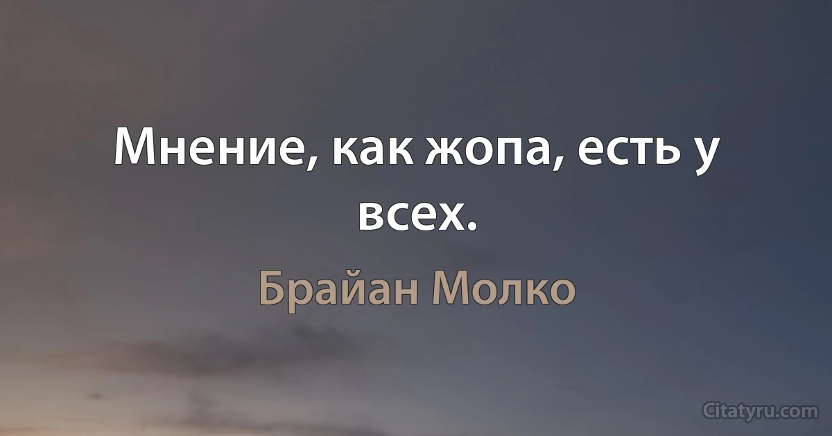 Мнение, как жопа, есть у всех. (Брайан Молко)