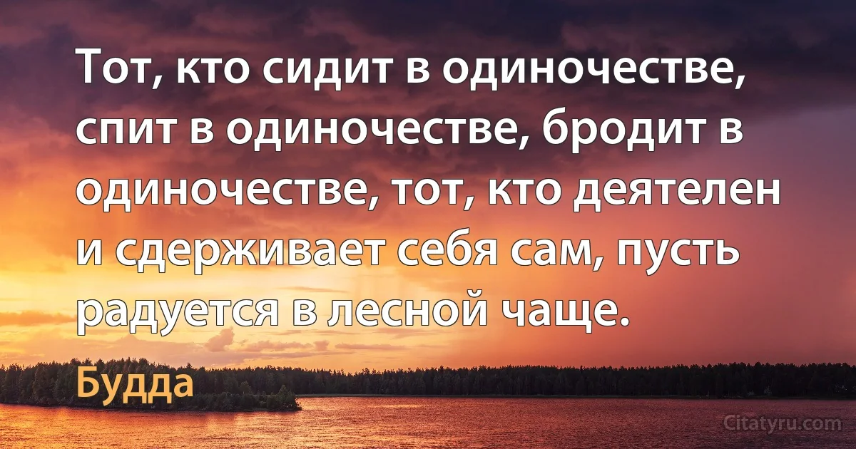 Тот, кто сидит в одиночестве, спит в одиночестве, бродит в одиночестве, тот, кто деятелен и сдерживает себя сам, пусть радуется в лесной чаще. (Будда)