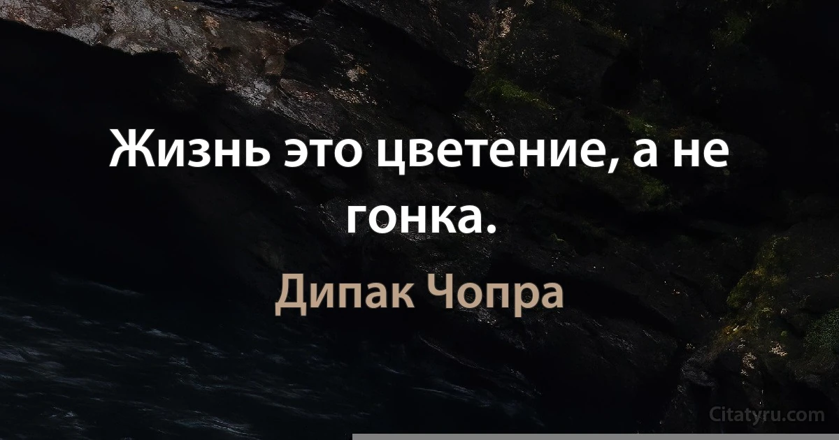 Жизнь это цветение, а не гонка. (Дипак Чопра)