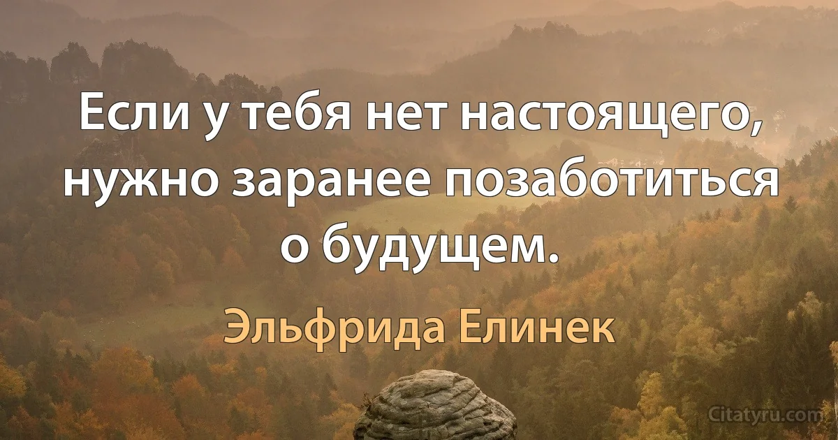 Если у тебя нет настоящего, нужно заранее позаботиться о будущем. (Эльфрида Елинек)