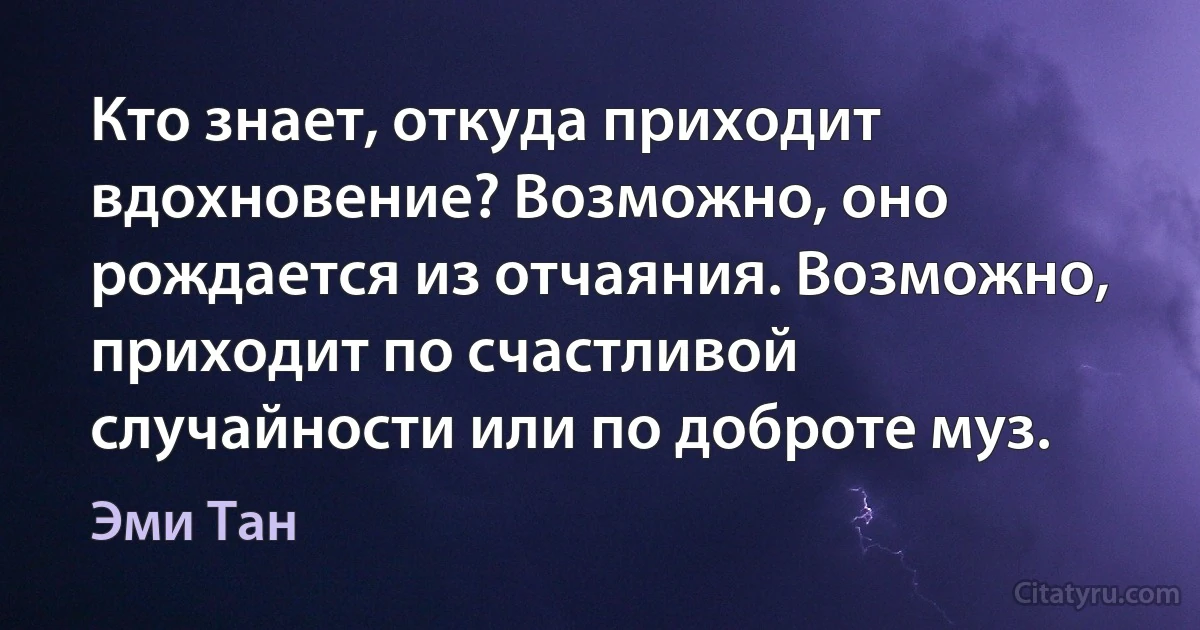 Кто знает, откуда приходит вдохновение? Возможно, оно рождается из отчаяния. Возможно, приходит по счастливой случайности или по доброте муз. (Эми Тан)