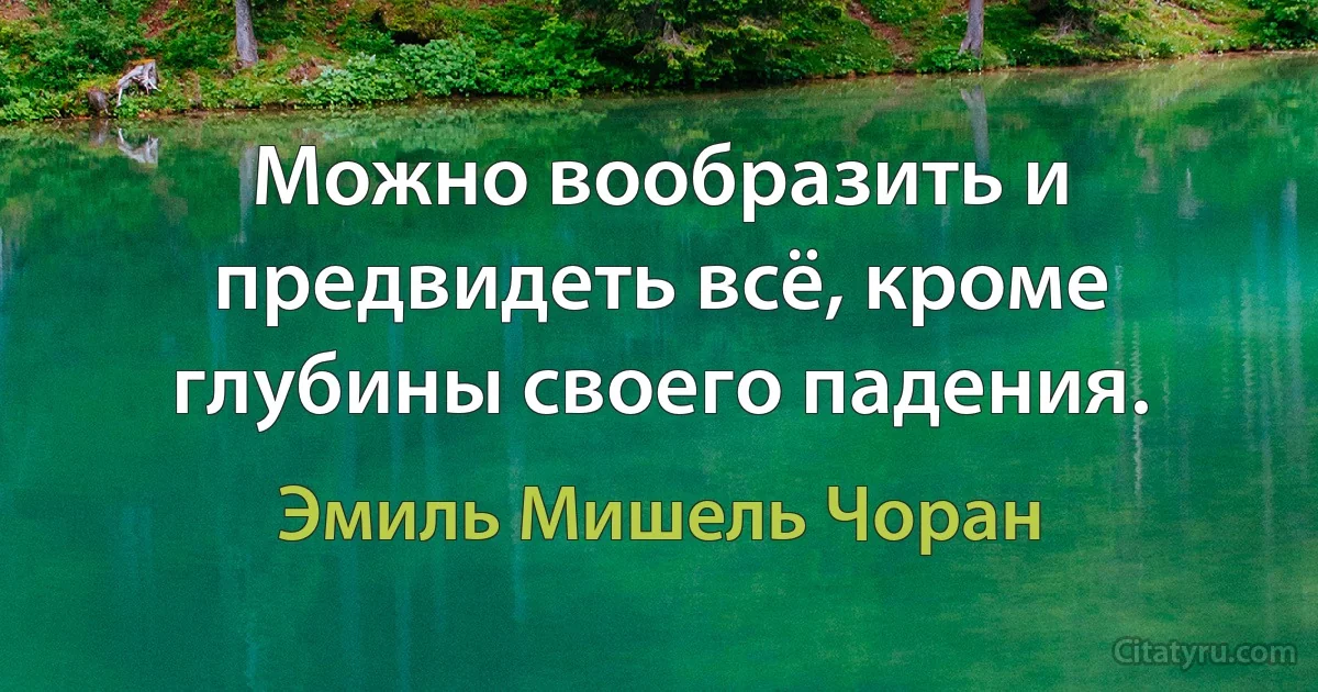 Можно вообразить и предвидеть всё, кроме глубины своего падения. (Эмиль Мишель Чоран)