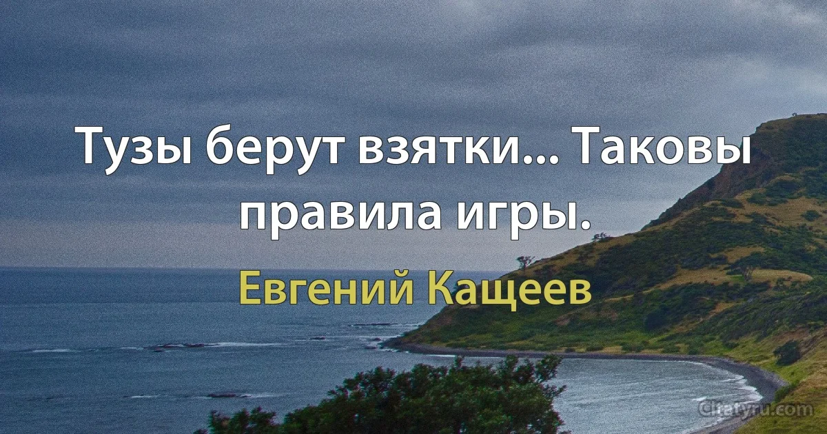 Тузы берут взятки... Таковы правила игры. (Евгений Кащеев)