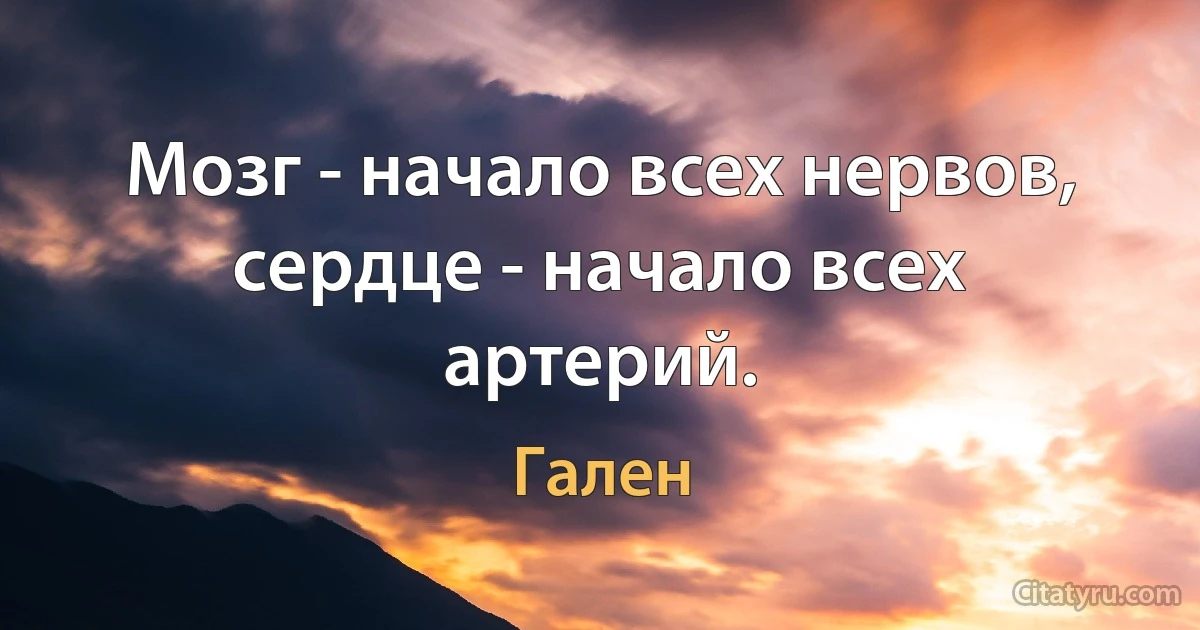 Мозг - начало всех нервов, сердце - начало всех артерий. (Гален)