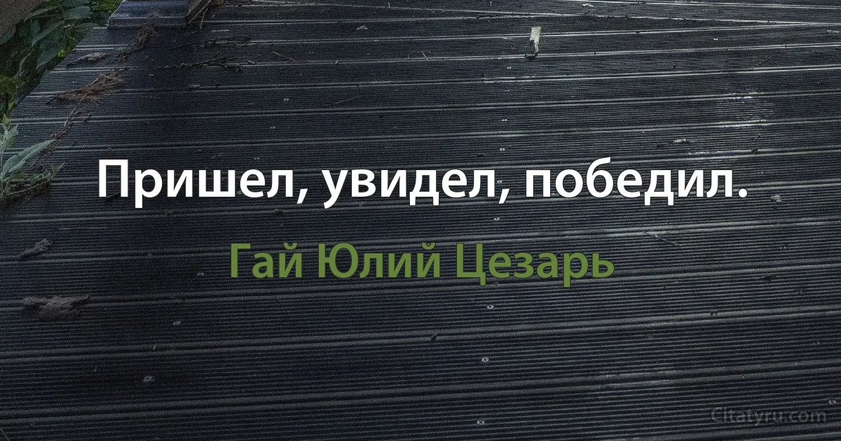 Пришел, увидел, победил. (Гай Юлий Цезарь)