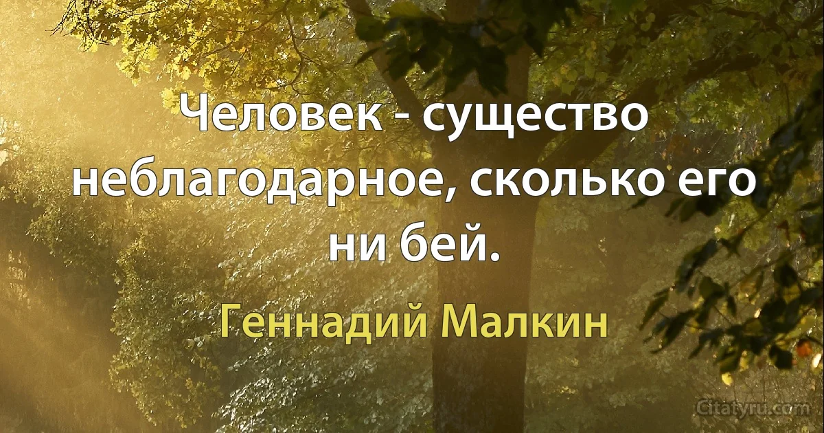 Человек - существо неблагодарное, сколько его ни бей. (Геннадий Малкин)