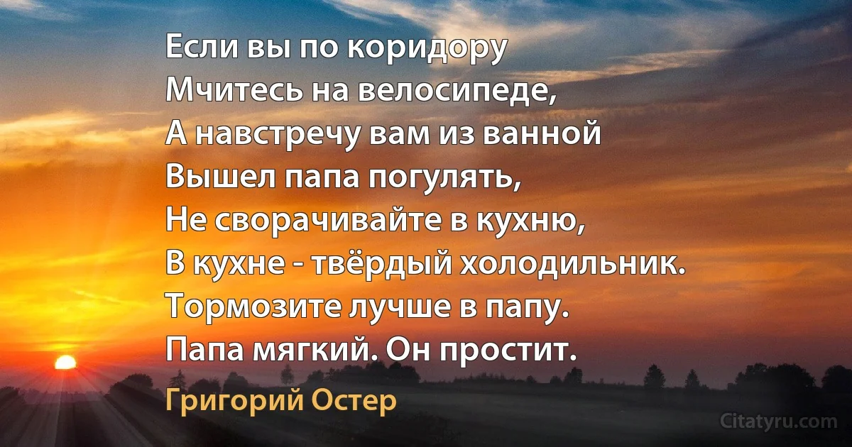 Если вы по коридору
Мчитесь на велосипеде,
А навстречу вам из ванной
Вышел папа погулять,
Не сворачивайте в кухню,
В кухне - твёрдый холодильник.
Тормозите лучше в папу.
Папа мягкий. Он простит. (Григорий Остер)