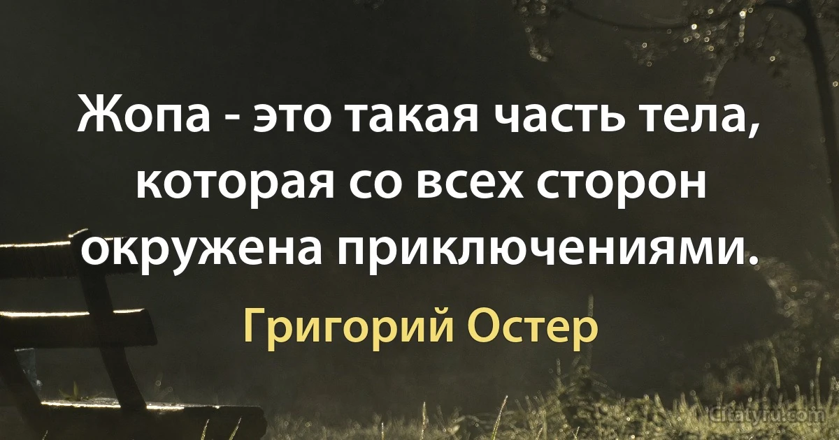 Жопа - это такая часть тела, которая со всех сторон окружена приключениями. (Григорий Остер)