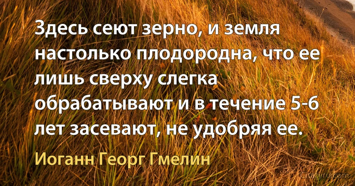 Здесь сеют зерно, и земля настолько плодородна, что ее лишь сверху слегка обрабатывают и в течение 5-6 лет засевают, не удобряя ее. (Иоганн Георг Гмелин)