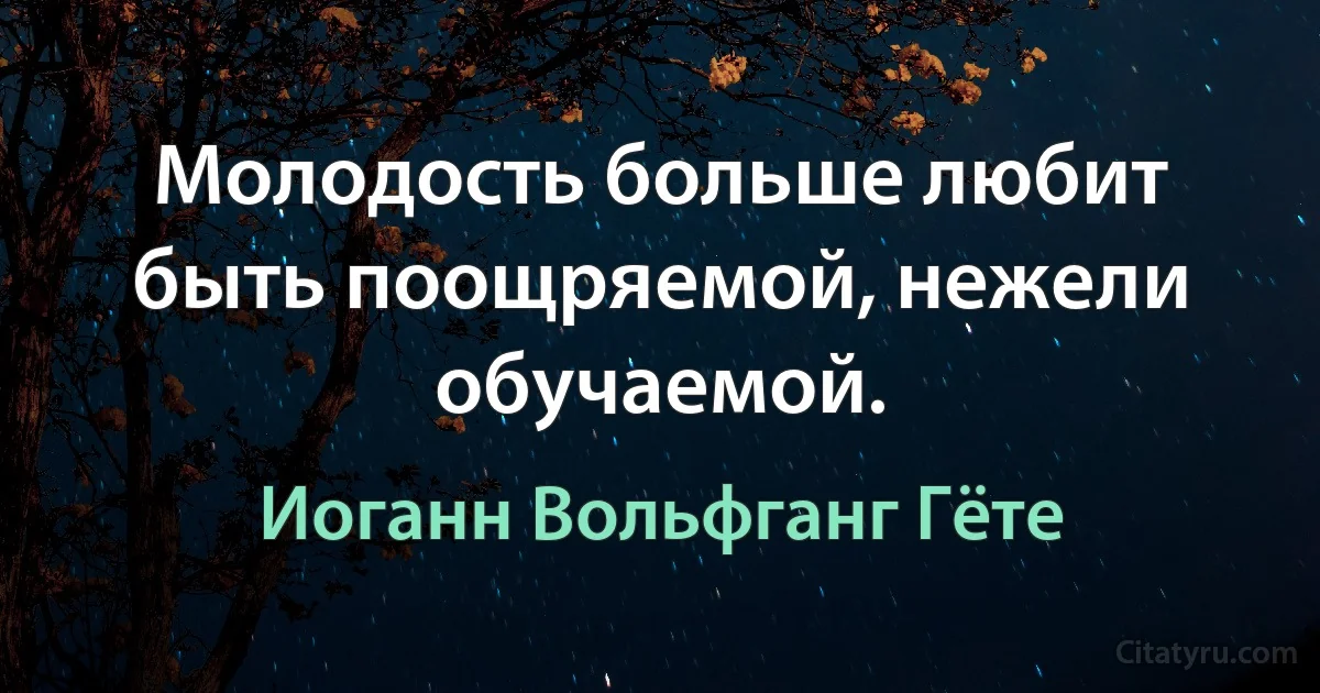 Молодость больше любит быть поощряемой, нежели обучаемой. (Иоганн Вольфганг Гёте)