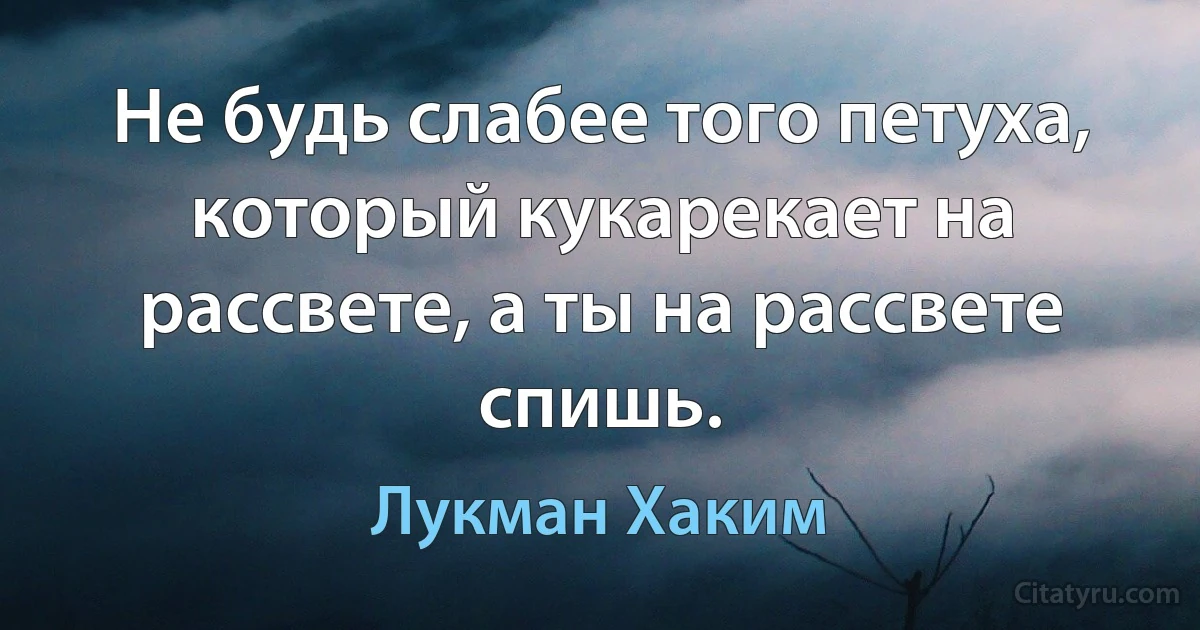 Не будь слабее того петуха, который кукарекает на рассвете, а ты на рассвете спишь. (Лукман Хаким)