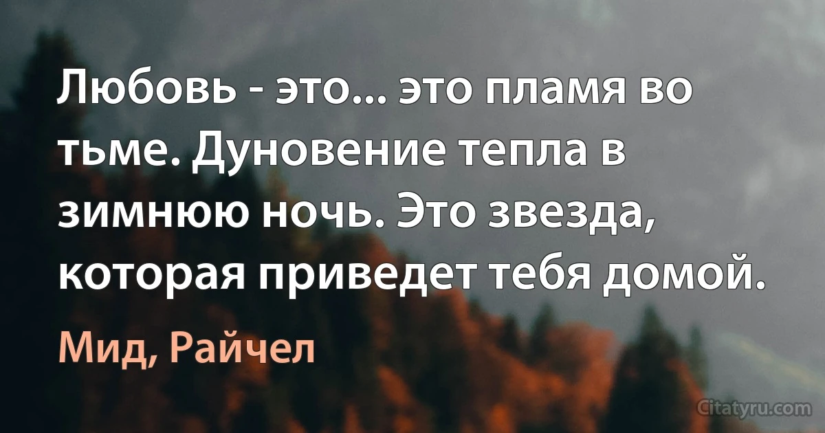 Любовь - это... это пламя во тьме. Дуновение тепла в зимнюю ночь. Это звезда, которая приведет тебя домой. (Мид, Райчел)