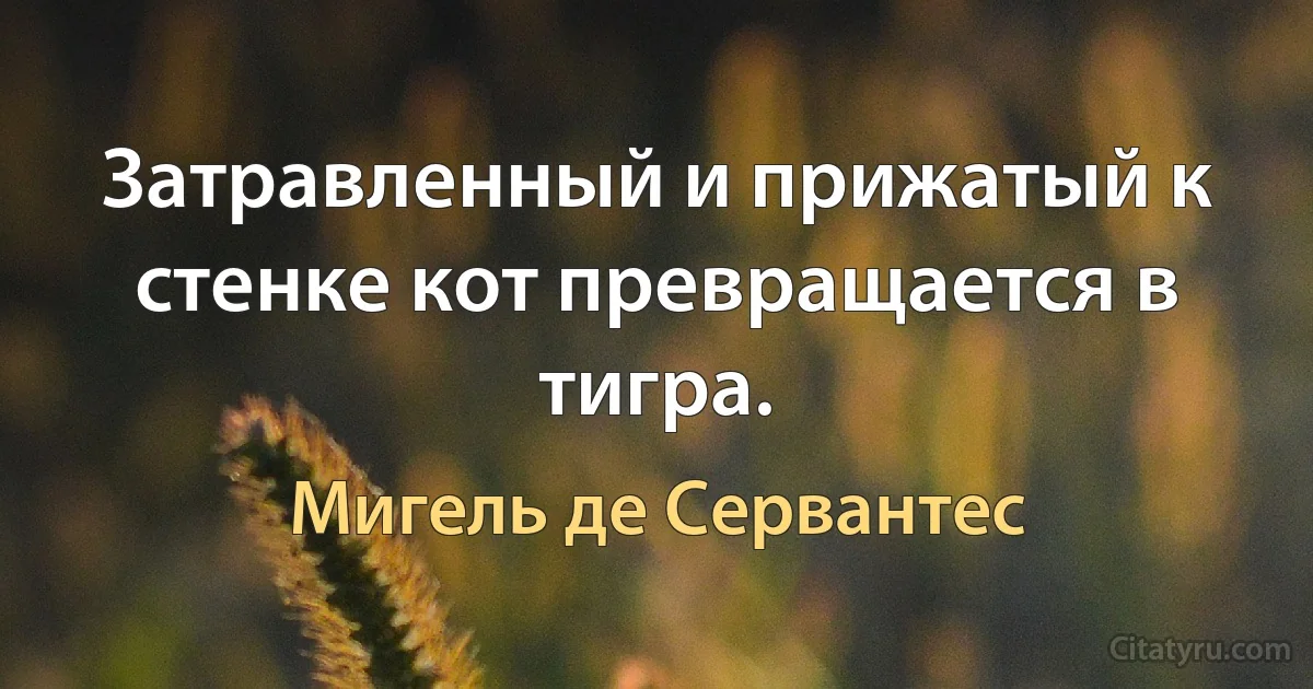 Затравленный и прижатый к стенке кот превращается в тигра. (Мигель де Сервантес)