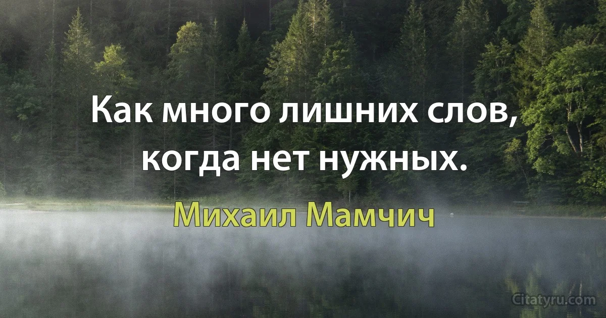 Как много лишних слов, когда нет нужных. (Михаил Мамчич)