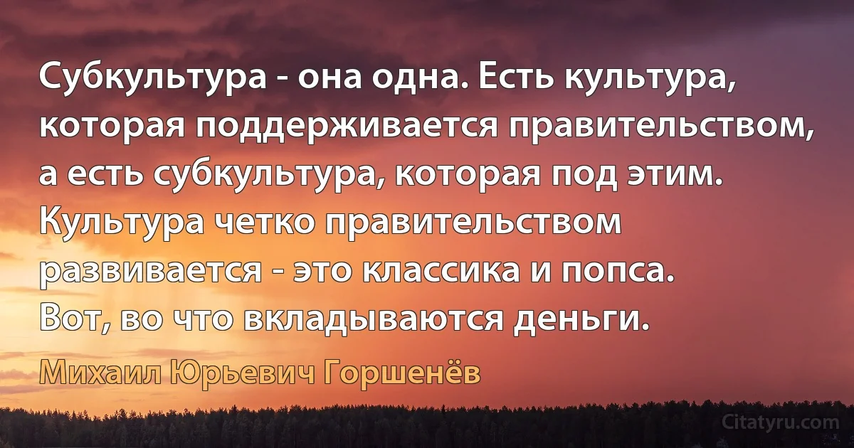 Субкультура - она одна. Есть культура, которая поддерживается правительством, а есть субкультура, которая под этим. Культура четко правительством развивается - это классика и попса. Вот, во что вкладываются деньги. (Михаил Юрьевич Горшенёв)