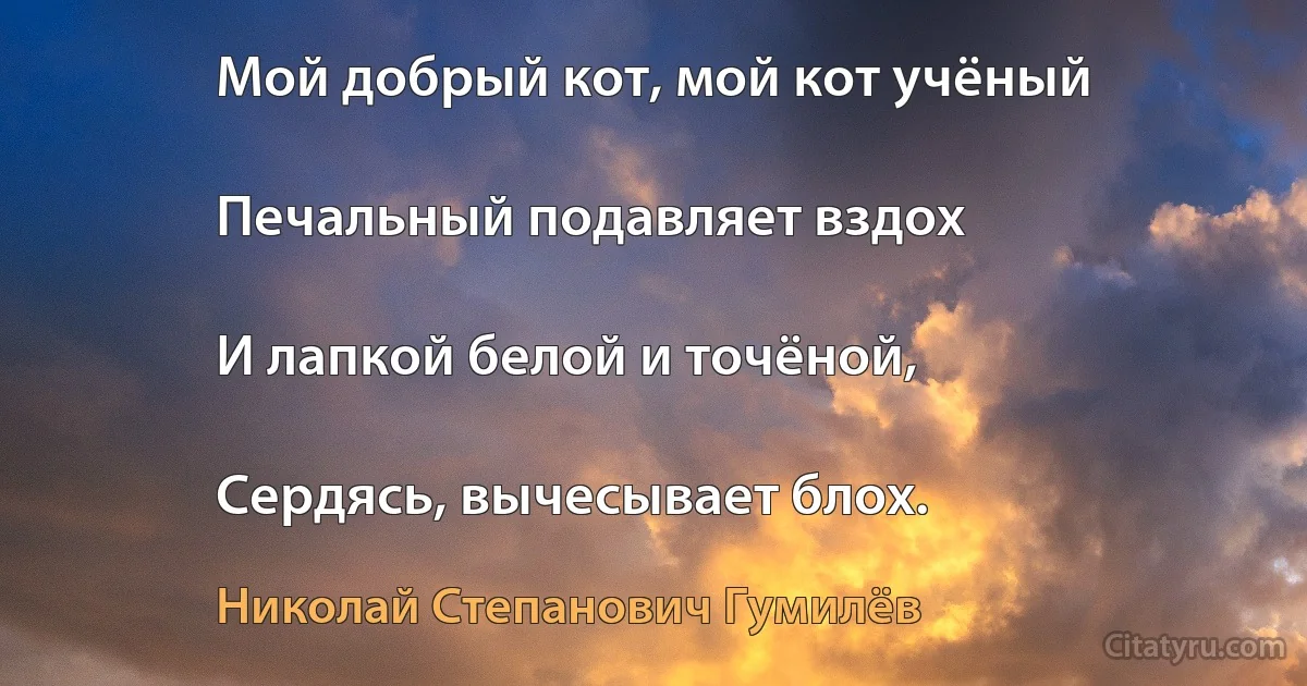 Мой добрый кот, мой кот учёный

Печальный подавляет вздох

И лапкой белой и точёной,

Сердясь, вычесывает блох. (Николай Степанович Гумилёв)