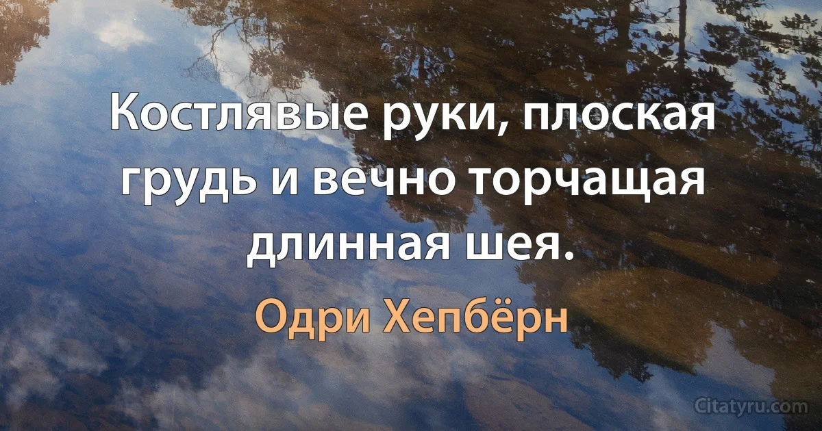 Костлявые руки, плоская грудь и вечно торчащая длинная шея. (Одри Хепбёрн)