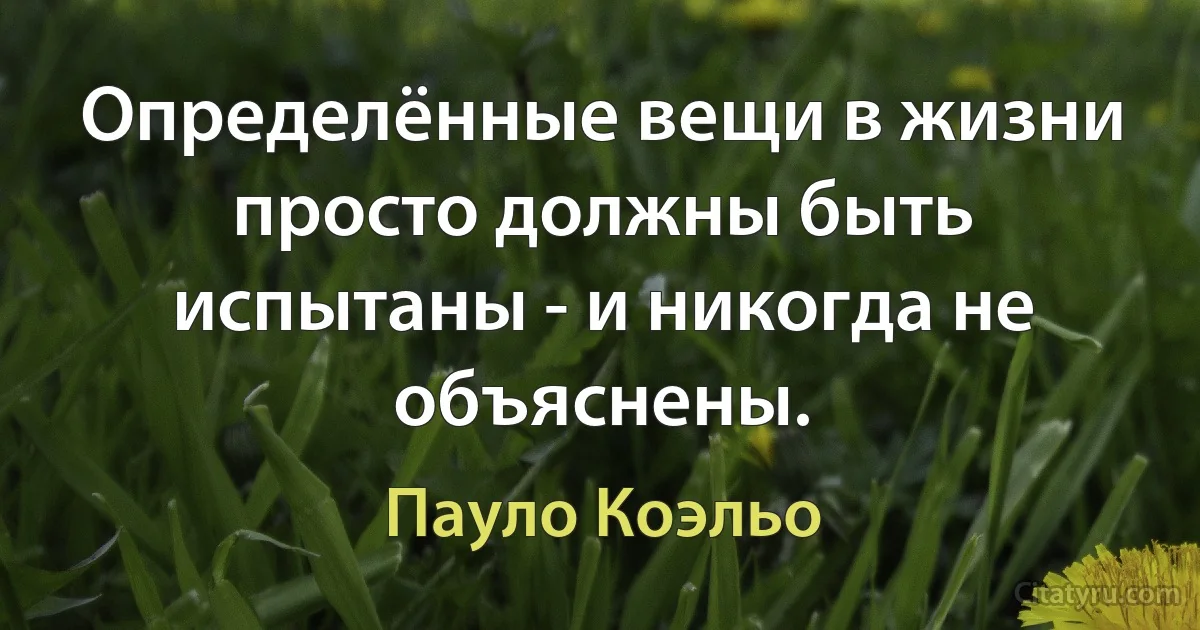 Определённые вещи в жизни просто должны быть испытаны - и никогда не объяснены. (Пауло Коэльо)