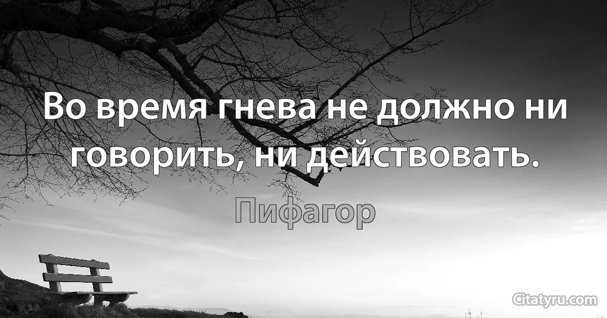 Во время гнева не должно ни говорить, ни действовать. (Пифагор)