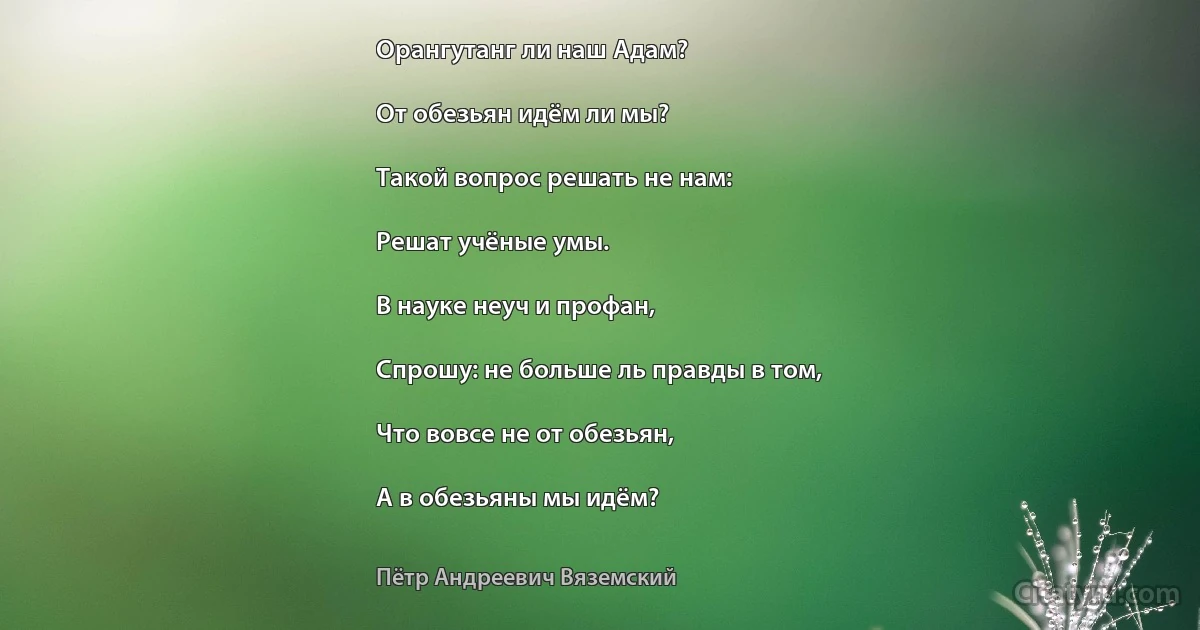 Орангутанг ли наш Адам?

От обезьян идём ли мы?

Такой вопрос решать не нам:

Решат учёные умы.

В науке неуч и профан,

Спрошу: не больше ль правды в том,

Что вовсе не от обезьян,

А в обезьяны мы идём? (Пётр Андреевич Вяземский)