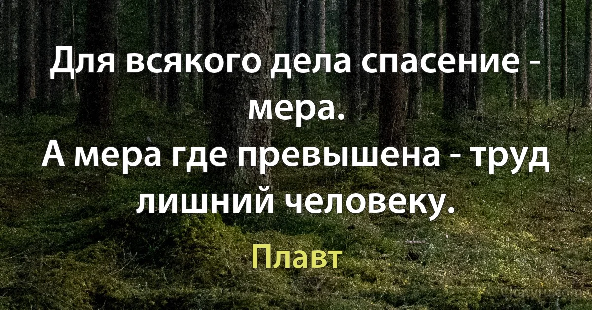 Для всякого дела спасение - мера.
А мера где превышена - труд лишний человеку. (Плавт)