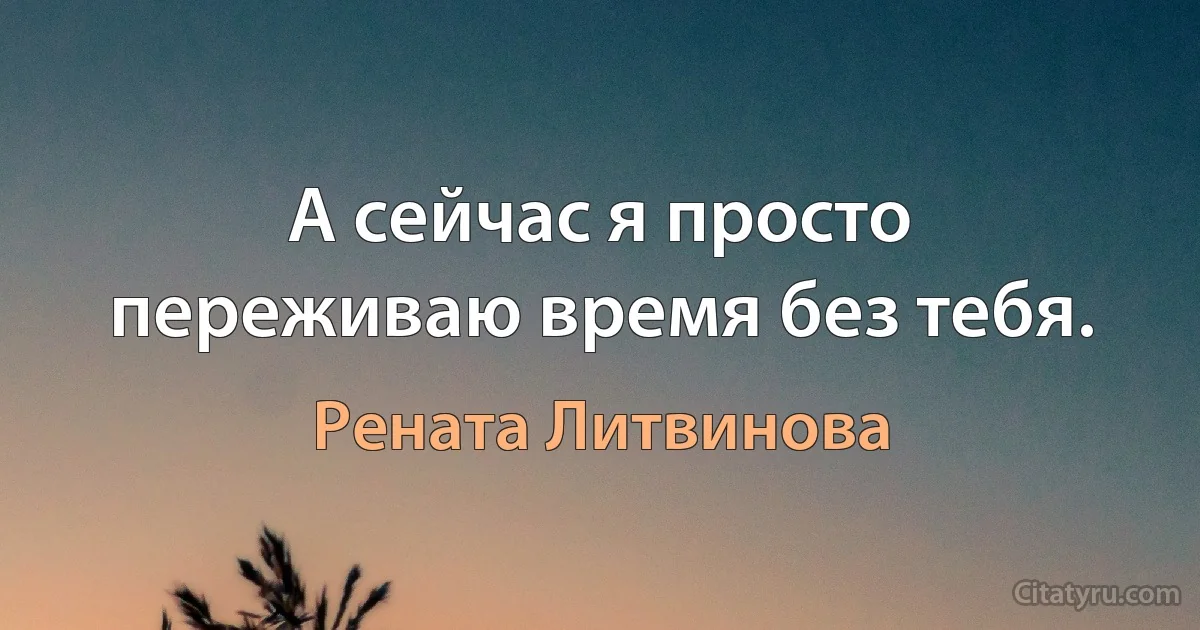 А сейчас я просто переживаю время без тебя. (Рената Литвинова)