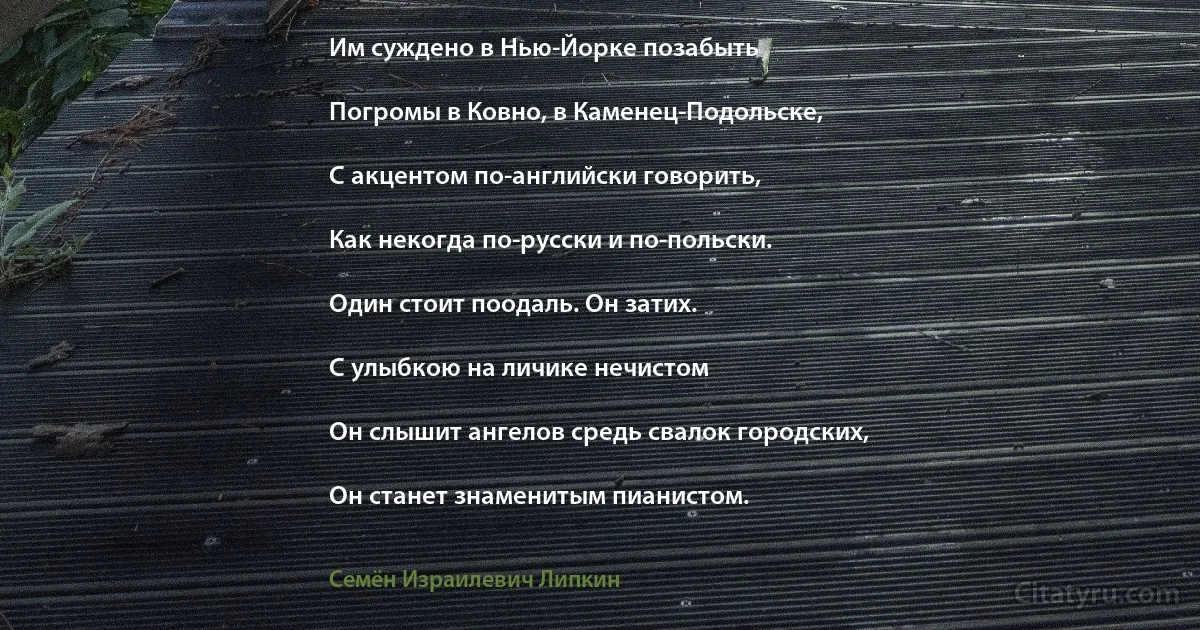 Им суждено в Нью-Йорке позабыть

Погромы в Ковно, в Каменец-Подольске,

С акцентом по-английски говорить,

Как некогда по-русски и по-польски.

Один стоит поодаль. Он затих.

С улыбкою на личике нечистом

Он слышит ангелов средь свалок городских,

Он станет знаменитым пианистом. (Семён Израилевич Липкин)